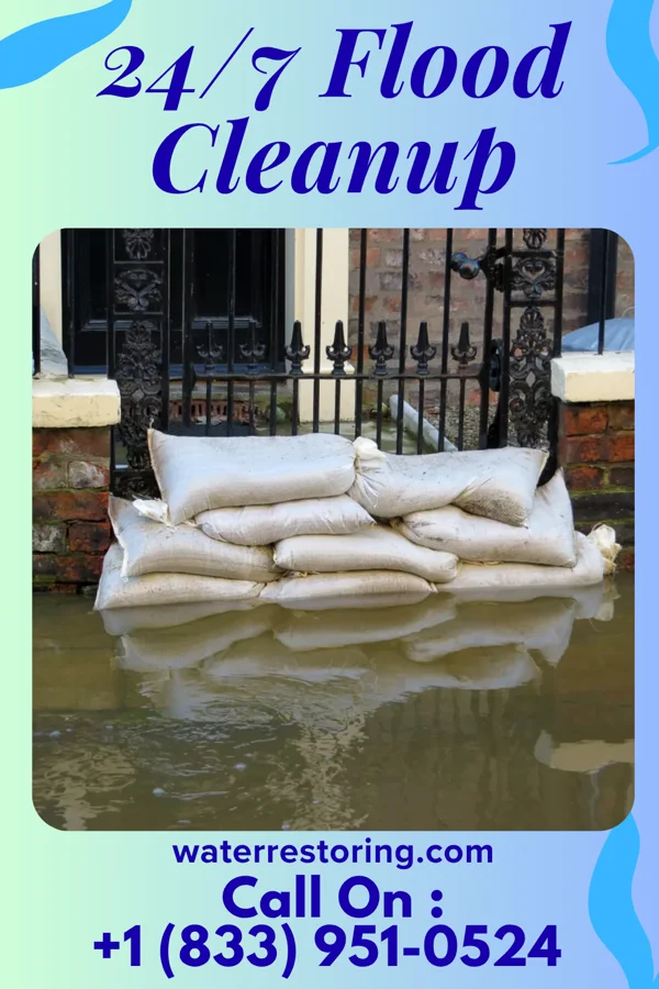 24/7 Flood Cleanup in Kenbridge, VA