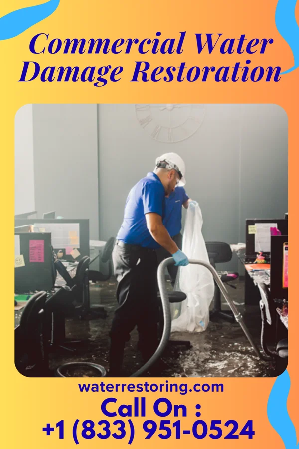 Commercial Water Damage Restoration in Kenbridge, VA