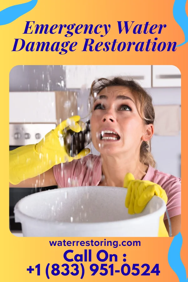 Emergency Water Damage Restoration in Kenbridge, VA