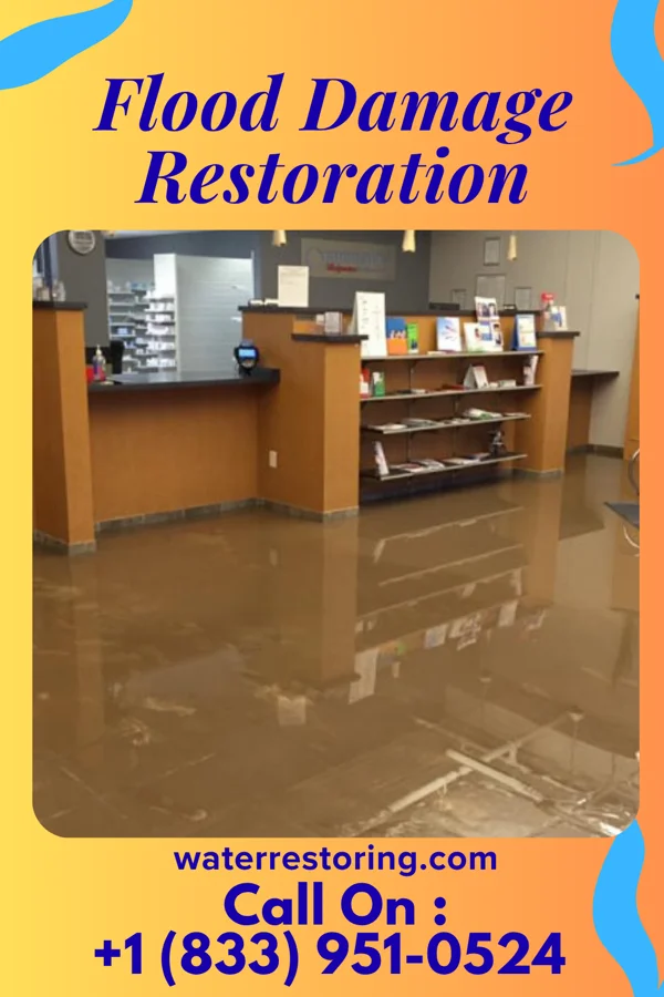 Flood Damage Restoration in Kenbridge, VA