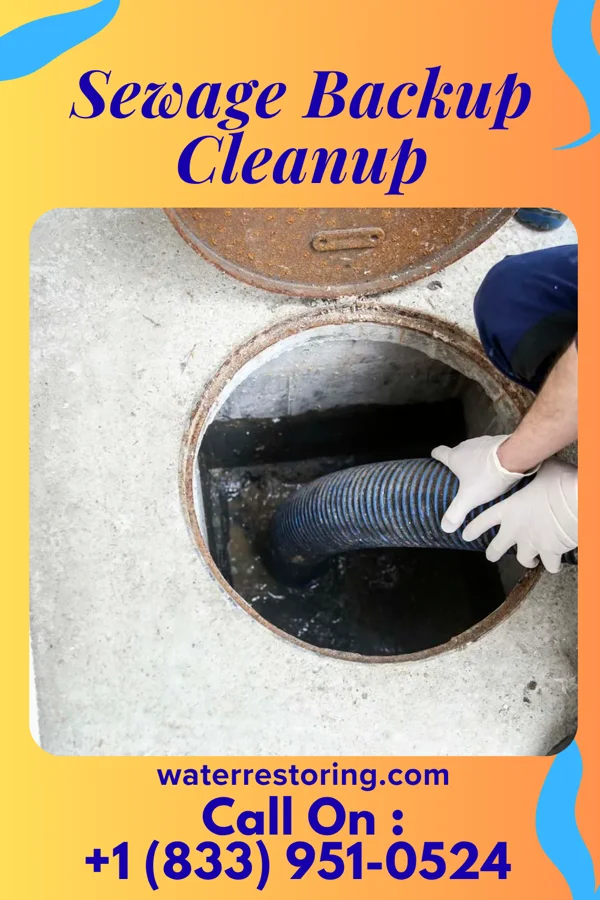 Sewage Backup Cleanup in Kenbridge, VA