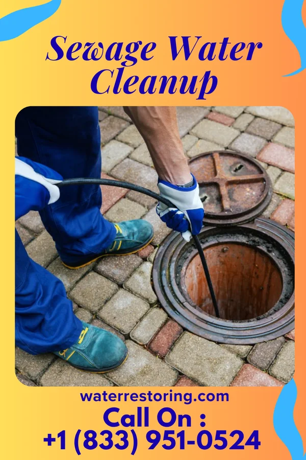 Sewage Water Cleanup in Kenbridge, VA